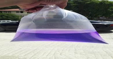 Evdeki Sineklere Ucuz Çözüm